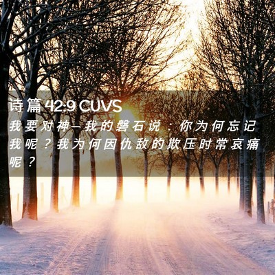Picture 02 - 诗 篇 42:9 CUVS - 我 要 对 神 ─ 我 的 磐 石 说 ： 你 - Bible Verse Picture
