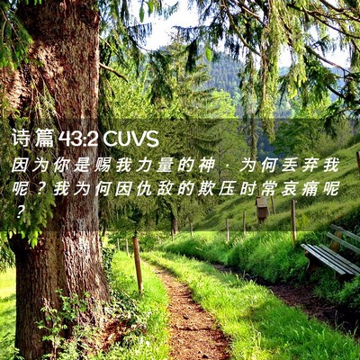 Picture 02 - 诗 篇 43:2 CUVS - 因 为 你 是 赐 我 力 量 的 神 ， 为 - Bible Verse Picture