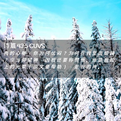 Picture 02 - 诗 篇 43:5 CUVS - 我 的 心 哪 ， 你 为 何 忧 闷 ？ 为 - Bible Verse Picture