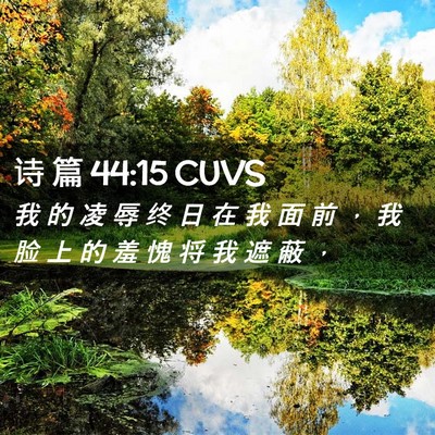Picture 02 - 诗 篇 44:15 CUVS - 我 的 凌 辱 终 日 在 我 面 前 ， 我 - Bible Verse Picture