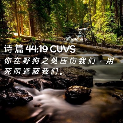Picture 02 - 诗 篇 44:19 CUVS - 你 在 野 狗 之 处 压 伤 我 们 ， 用 - Bible Verse Picture