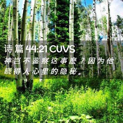 Picture 02 - 诗 篇 44:21 CUVS - 神 岂 不 鉴 察 这 事 麽 ？ 因 为 他 - Bible Verse Picture