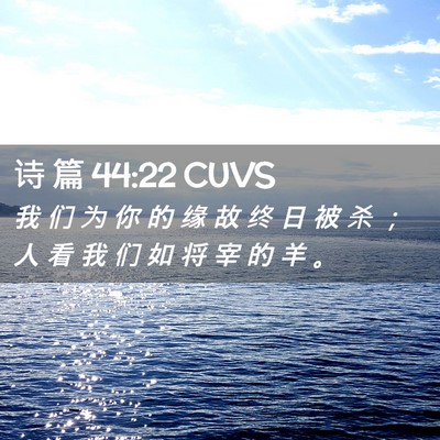 Picture 02 - 诗 篇 44:22 CUVS - 我 们 为 你 的 缘 故 终 日 被 杀 ； - Bible Verse Picture