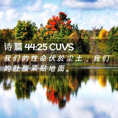 Picture 02 - 诗 篇 44:25 CUVS - 我 们 的 性 命 伏 於 尘 土 ； 我 们 - Bible Verse Picture