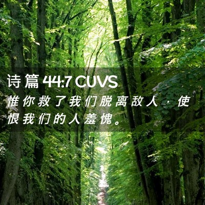 Picture 02 - 诗 篇 44:7 CUVS - 惟 你 救 了 我 们 脱 离 敌 人 ， 使 - Bible Verse Picture