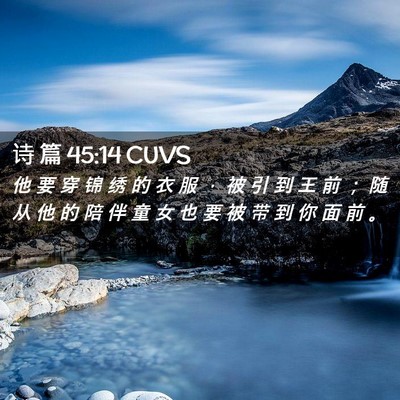 Picture 02 - 诗 篇 45:14 CUVS - 他 要 穿 锦 绣 的 衣 服 ， 被 引 到 - Bible Verse Picture