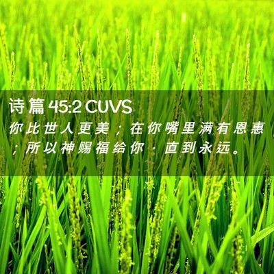 Picture 02 - 诗 篇 45:2 CUVS - 你 比 世 人 更 美 ； 在 你 嘴 里 满 - Bible Verse Picture