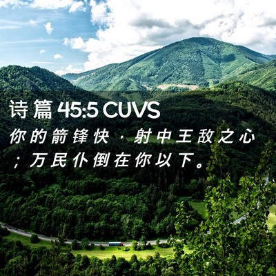 Picture 02 - 诗 篇 45:5 CUVS - 你 的 箭 锋 快 ， 射 中 王 敌 之 心 - Bible Verse Picture