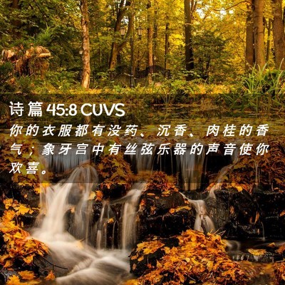 Picture 02 - 诗 篇 45:8 CUVS - 你 的 衣 服 都 有 没 药 、 沉 香 、 - Bible Verse Picture