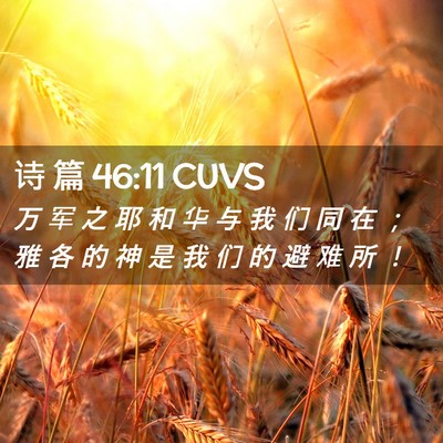 Picture 02 - 诗 篇 46:11 CUVS - 万 军 之 耶 和 华 与 我 们 同 在 ； - Bible Verse Picture