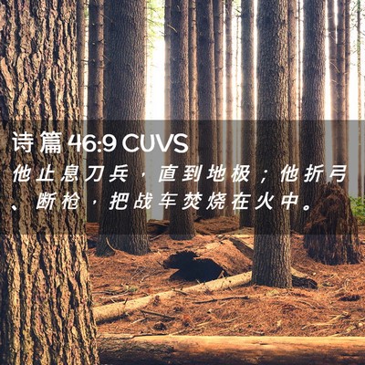 Picture 02 - 诗 篇 46:9 CUVS - 他 止 息 刀 兵 ， 直 到 地 极 ； 他 - Bible Verse Picture