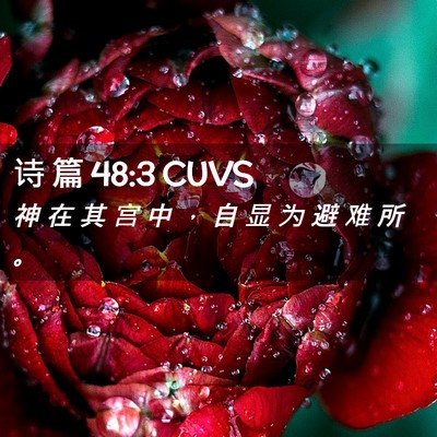 Picture 02 - 诗 篇 48:3 CUVS - 神 在 其 宫 中 ， 自 显 为 避 难 所 - Bible Verse Picture