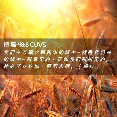 Picture 02 - 诗 篇 48:8 CUVS - 我 们 在 万 军 之 耶 和 华 的 城 中 - Bible Verse Picture
