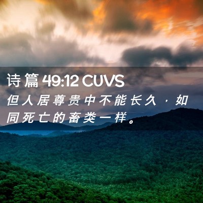 Picture 02 - 诗 篇 49:12 CUVS - 但 人 居 尊 贵 中 不 能 长 久 ， 如 - Bible Verse Picture