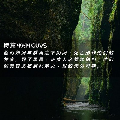 Picture 02 - 诗 篇 49:14 CUVS - 他 们 如 同 羊 群 派 定 下 阴 间 ； - Bible Verse Picture