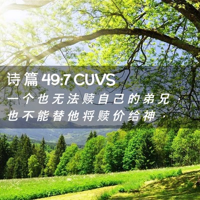 Picture 02 - 诗 篇 49:7 CUVS - 一 个 也 无 法 赎 自 己 的 弟 兄 ， - Bible Verse Picture