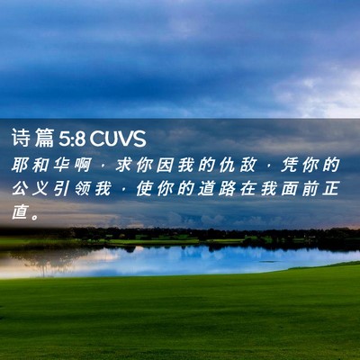 Picture 02 - 诗 篇 5:8 CUVS - 耶 和 华 啊 ， 求 你 因 我 的 仇 敌 - Bible Verse Picture