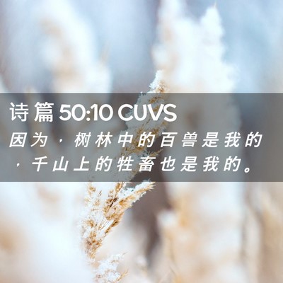 Picture 02 - 诗 篇 50:10 CUVS - 因 为 ， 树 林 中 的 百 兽 是 我 的 - Bible Verse Picture