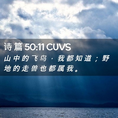 Picture 02 - 诗 篇 50:11 CUVS - 山 中 的 飞 鸟 ， 我 都 知 道 ； 野 - Bible Verse Picture