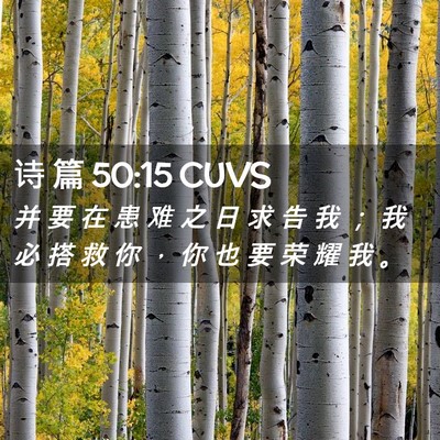 Picture 02 - 诗 篇 50:15 CUVS - 并 要 在 患 难 之 日 求 告 我 ； 我 - Bible Verse Picture