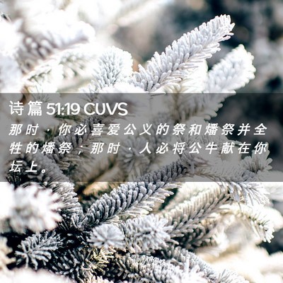 Picture 02 - 诗 篇 51:19 CUVS - 那 时 ， 你 必 喜 爱 公 义 的 祭 和 - Bible Verse Picture