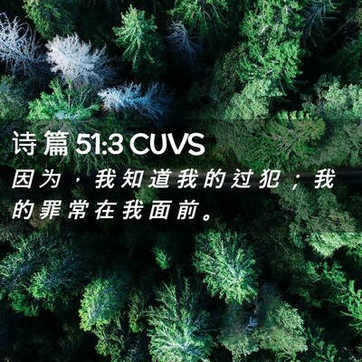Picture 02 - 诗 篇 51:3 CUVS - 因 为 ， 我 知 道 我 的 过 犯 ； 我 - Bible Verse Picture