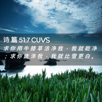 Picture 02 - 诗 篇 51:7 CUVS - 求 你 用 牛 膝 草 洁 净 我 ， 我 就 - Bible Verse Picture