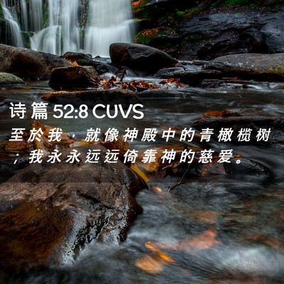 Picture 02 - 诗 篇 52:8 CUVS - 至 於 我 ， 就 像 神 殿 中 的 青 橄 - Bible Verse Picture