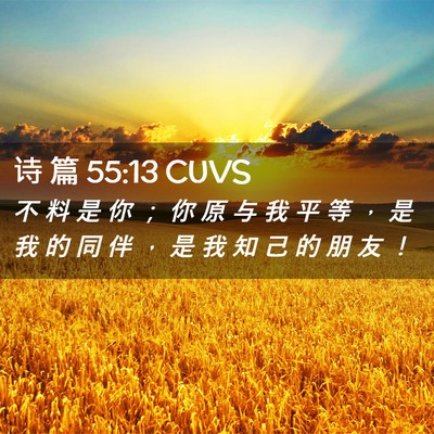 Picture 02 - 诗 篇 55:13 CUVS - 不 料 是 你 ； 你 原 与 我 平 等 ， - Bible Verse Picture