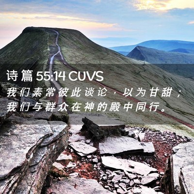 Picture 02 - 诗 篇 55:14 CUVS - 我 们 素 常 彼 此 谈 论 ， 以 为 甘 - Bible Verse Picture