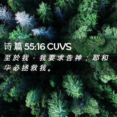 Picture 02 - 诗 篇 55:16 CUVS - 至 於 我 ， 我 要 求 告 神 ； 耶 和 - Bible Verse Picture