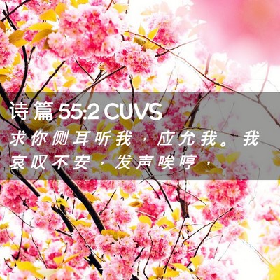 Picture 02 - 诗 篇 55:2 CUVS - 求 你 侧 耳 听 我 ， 应 允 我 。 我 - Bible Verse Picture