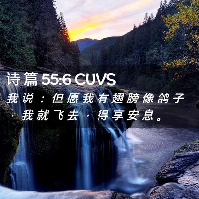 Picture 02 - 诗 篇 55:6 CUVS - 我 说 ： 但 愿 我 有 翅 膀 像 鸽 子 - Bible Verse Picture