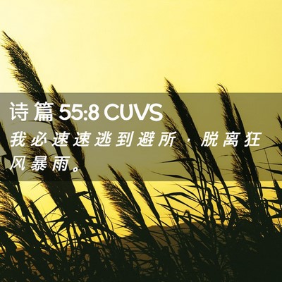 Picture 02 - 诗 篇 55:8 CUVS - 我 必 速 速 逃 到 避 所 ， 脱 离 狂 - Bible Verse Picture
