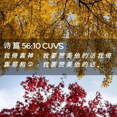 Picture 02 - 诗 篇 56:10 CUVS - 我 倚 靠 神 ， 我 要 赞 美 他 的 话 - Bible Verse Picture