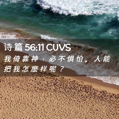 Picture 02 - 诗 篇 56:11 CUVS - 我 倚 靠 神 ， 必 不 惧 怕 。 人 能 - Bible Verse Picture