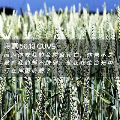 Picture 02 - 诗 篇 56:13 CUVS - 因 为 你 救 我 的 命 脱 离 死 亡 。 - Bible Verse Picture