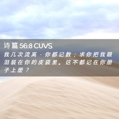 Picture 02 - 诗 篇 56:8 CUVS - 我 几 次 流 离 ， 你 都 记 数 ； 求 - Bible Verse Picture