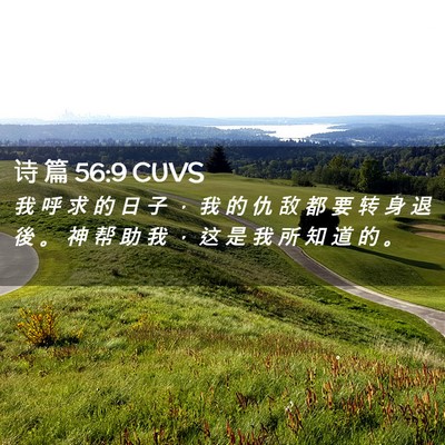 Picture 02 - 诗 篇 56:9 CUVS - 我 呼 求 的 日 子 ， 我 的 仇 敌 都 - Bible Verse Picture