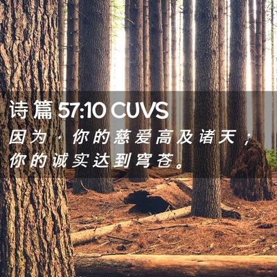Picture 02 - 诗 篇 57:10 CUVS - 因 为 ， 你 的 慈 爱 高 及 诸 天 ； - Bible Verse Picture