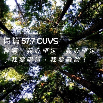 Picture 02 - 诗 篇 57:7 CUVS - 神 啊 ， 我 心 坚 定 ， 我 心 坚 定 - Bible Verse Picture