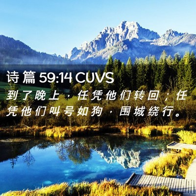 Picture 02 - 诗 篇 59:14 CUVS - 到 了 晚 上 ， 任 凭 他 们 转 回 ； - Bible Verse Picture