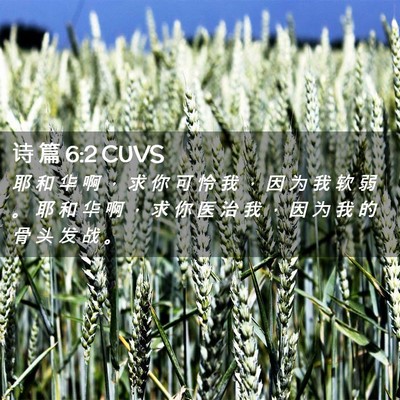 Picture 02 - 诗 篇 6:2 CUVS - 耶 和 华 啊 ， 求 你 可 怜 我 ， 因 - Bible Verse Picture