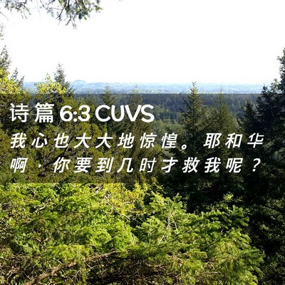 Picture 02 - 诗 篇 6:3 CUVS - 我 心 也 大 大 地 惊 惶 。 耶 和 华 - Bible Verse Picture