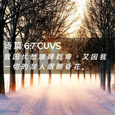 Picture 02 - 诗 篇 6:7 CUVS - 我 因 忧 愁 眼 睛 乾 瘪 ， 又 因 我 - Bible Verse Picture