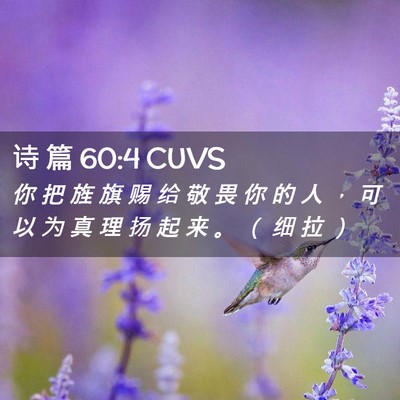 Picture 02 - 诗 篇 60:4 CUVS - 你 把 旌 旗 赐 给 敬 畏 你 的 人 ， - Bible Verse Picture
