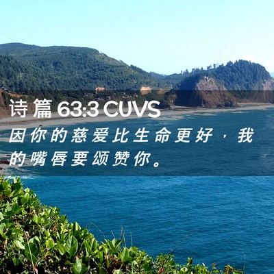 Picture 02 - 诗 篇 63:3 CUVS - 因 你 的 慈 爱 比 生 命 更 好 ， 我 - Bible Verse Picture