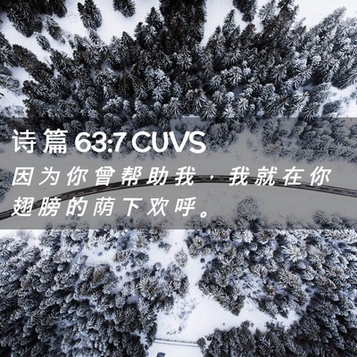 Picture 02 - 诗 篇 63:7 CUVS - 因 为 你 曾 帮 助 我 ， 我 就 在 你 - Bible Verse Picture