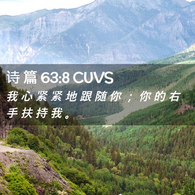 Picture 02 - 诗 篇 63:8 CUVS - 我 心 紧 紧 地 跟 随 你 ； 你 的 右 - Bible Verse Picture
