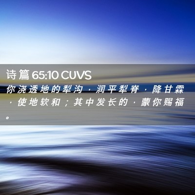 Picture 02 - 诗 篇 65:10 CUVS - 你 浇 透 地 的 犁 沟 ， 润 平 犁 脊 - Bible Verse Picture